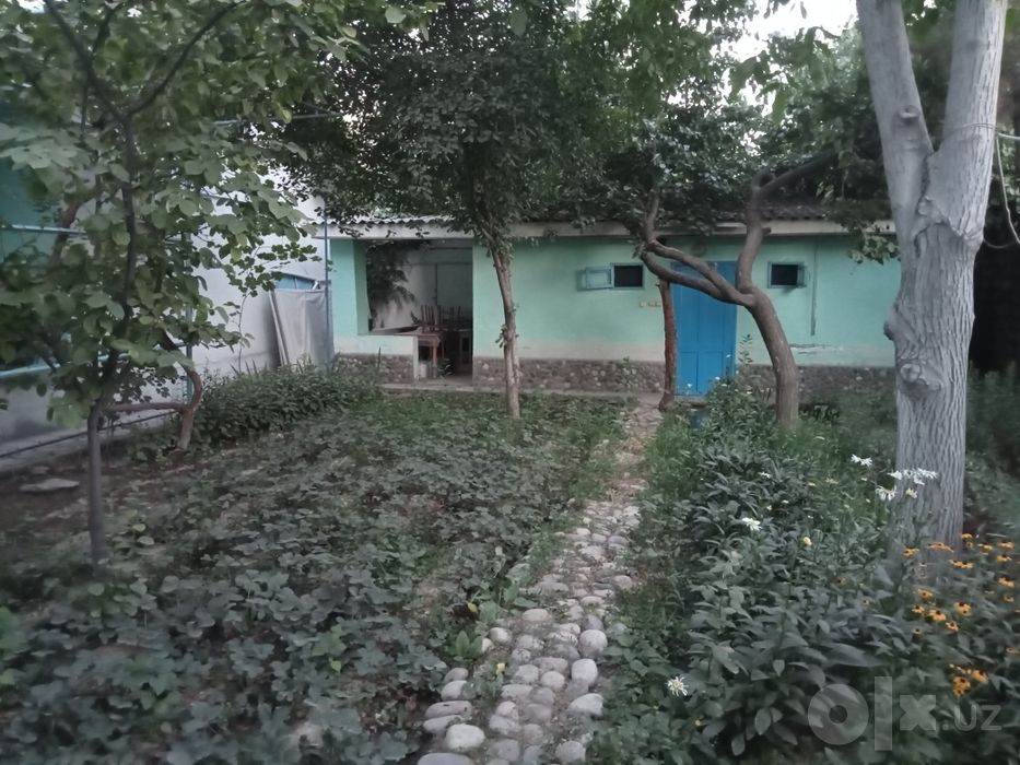 Дачный участок в Янги Узбекистан.
