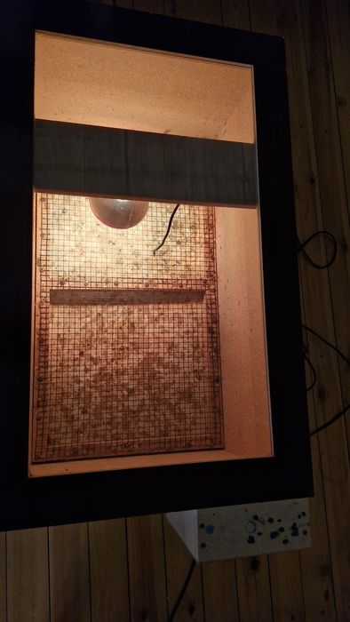 Инкубатор 100талик