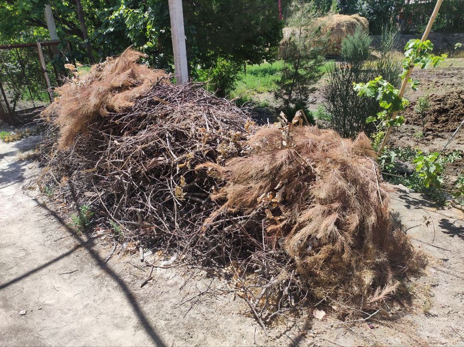 O'tin va kundalar sotiladi. Bir moshin bor