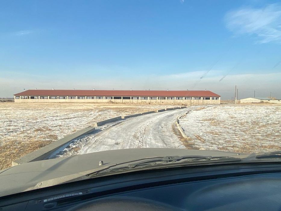 СРОЧНО! Молочно-товарноя ферма