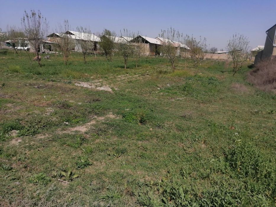 Salom Srochni yer sotiladi sutiyi 1400$