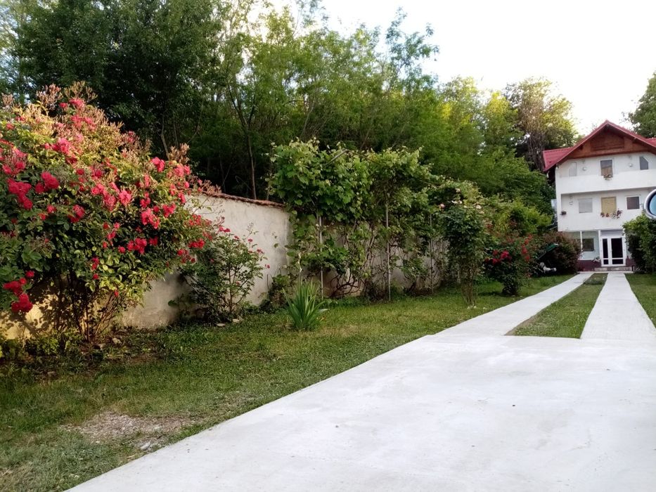 VAND/SCHIMB Casa Pitesti