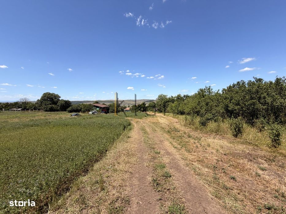 Teren 2.900 mp - 900 mp intravilan Jucu de Sus Panorama Investitie