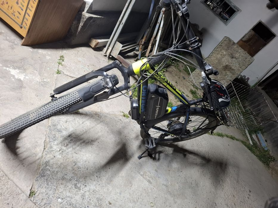 Электровилик ортега