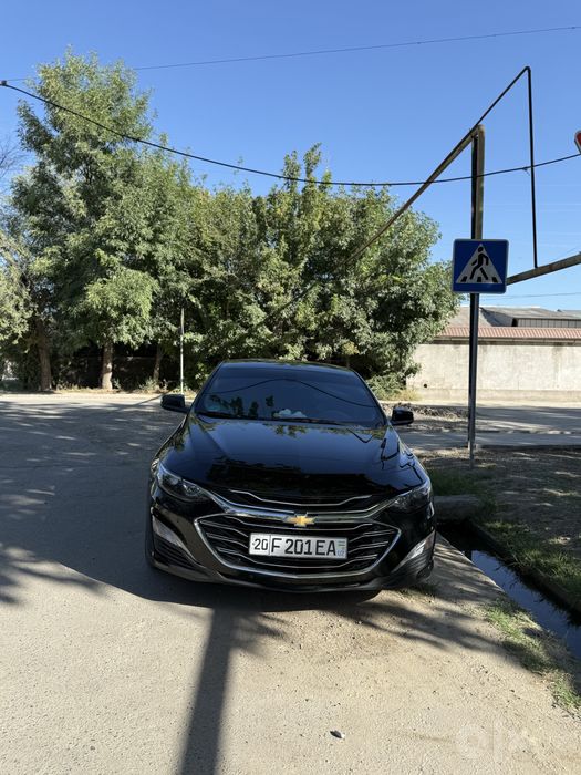 Malibu atmasferniy 2017