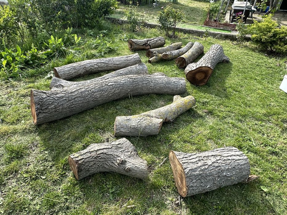 Нарязан орех може да се използва за изработка на мебели