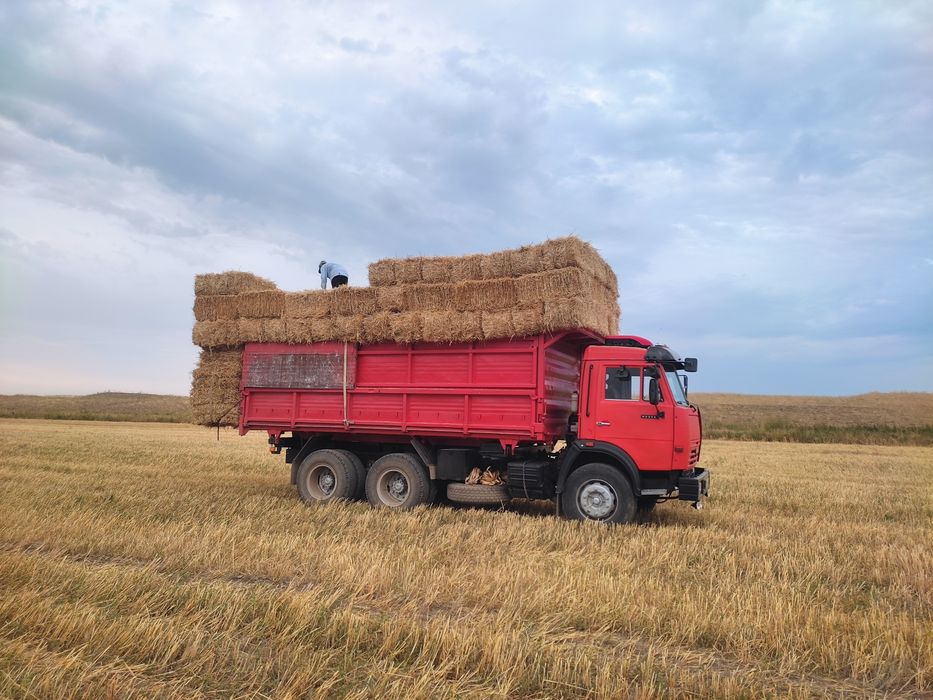 Услуги КамАЗа: сельхозник самосвал бокавал