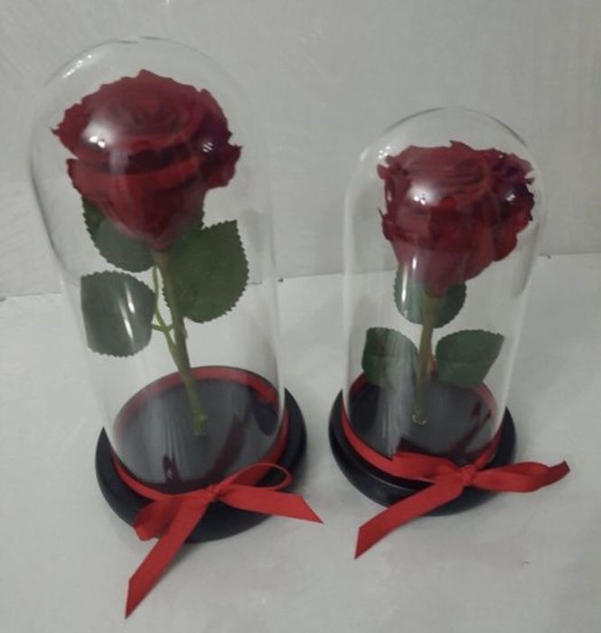 Cupola cu trandafiri criogenati conservati in cupola de sticla