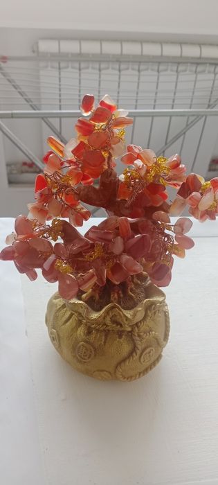 Денежное дерево натуральные камень