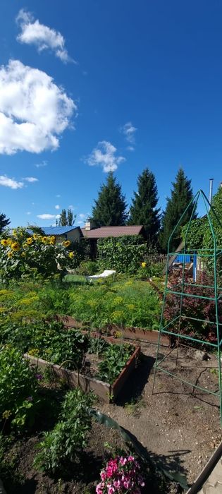 Дача  общество "звёздочка"