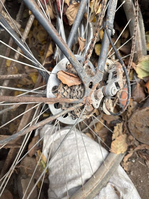 Вклосипед, Velosiped