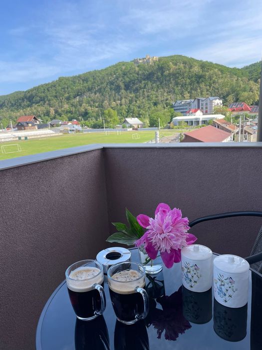 Cazare regim hotelier Studio si Apartam cu 2 cam-vedere la Cetatea NT