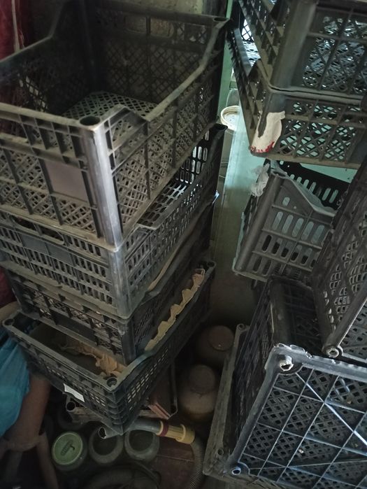 Plasmass yashik 2 mindan