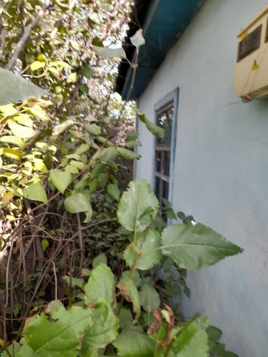 Срочно! Продам дачу! Район Бобровка