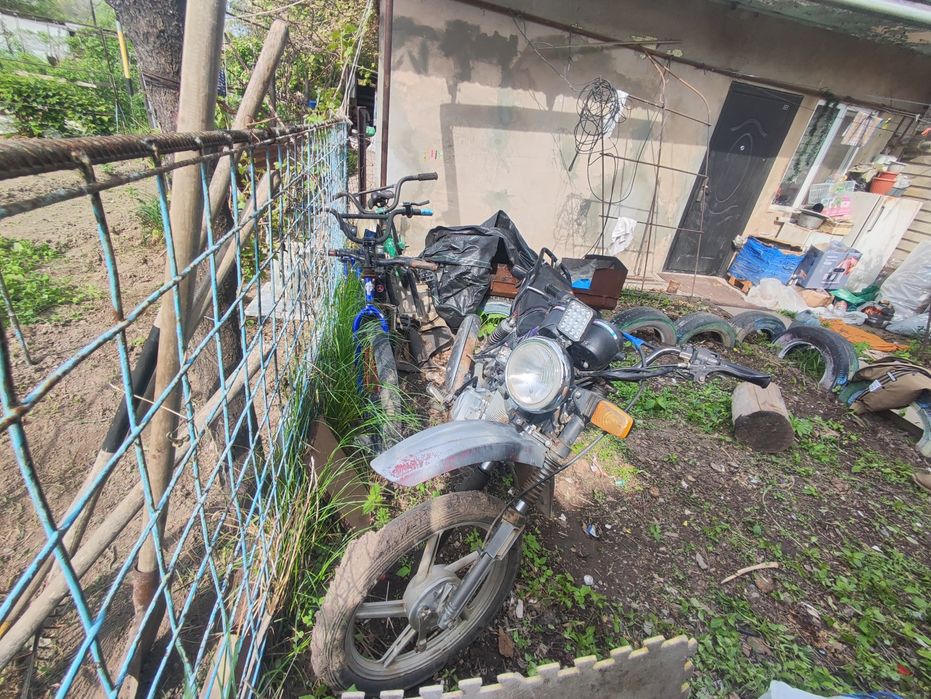 Мотоцикл пастущок,альфа