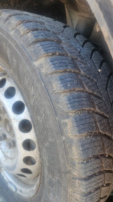 Vand Transporter t5