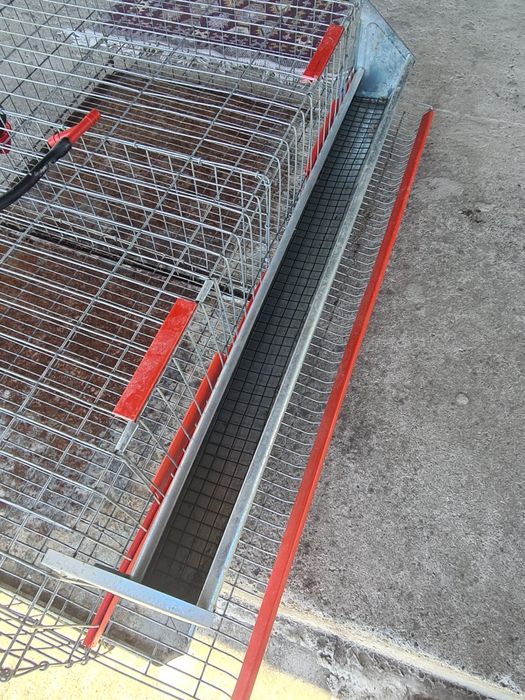 Cușcă prepelițe 50 capete