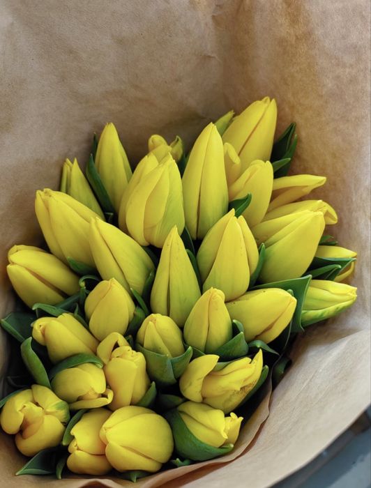 Тюльпаны свежие Астана