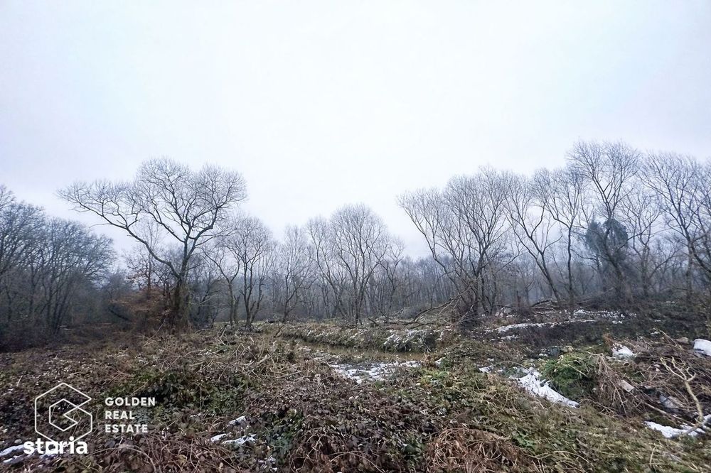 Teren 3.900 mp, Lipova – Șoimoș