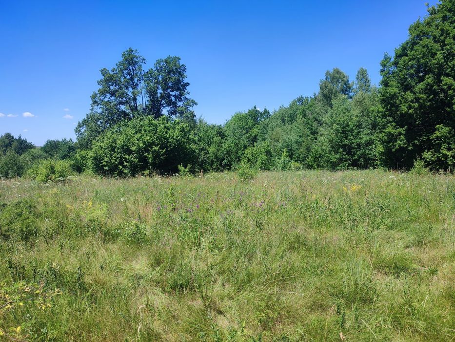 Vand teren Râșca judet Cluj Napoca