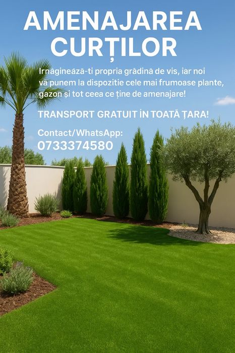 Vand leylandi/leylandi gold calitate extra