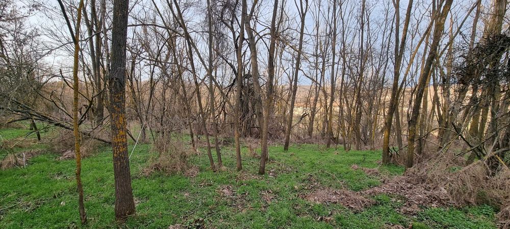 Продава се Къща в с. Побит камък, Област Разград - 100 кв.м за 306 €/кв.м - Снимка #4