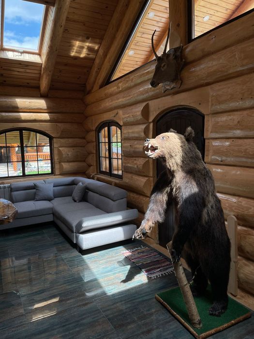 Cabana de închiriat