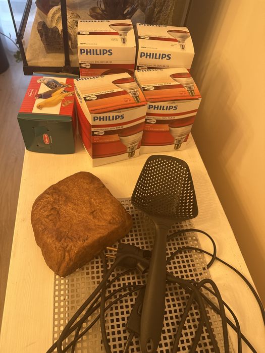 Acvariu, terariu, vivariu