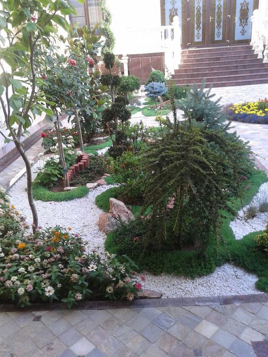 Продаётся рулонный газон, услуги по озеленении