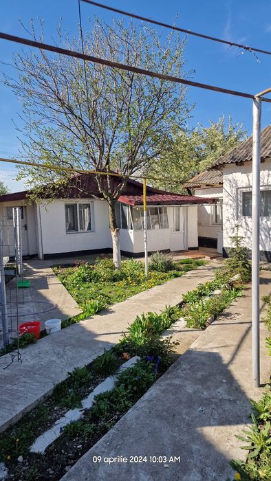 Vând casa și teren Valea prahovei