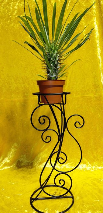 Цветарник за една саксия. Ръчна изработка