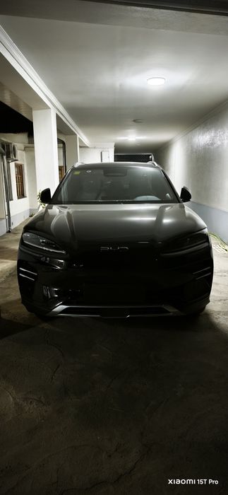 BYD Champion smart drive