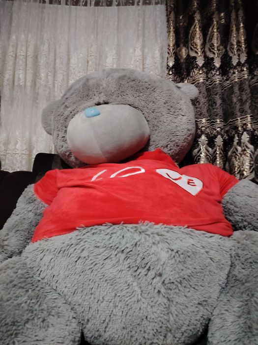 Juda katta ayiq sifatiga garantiya