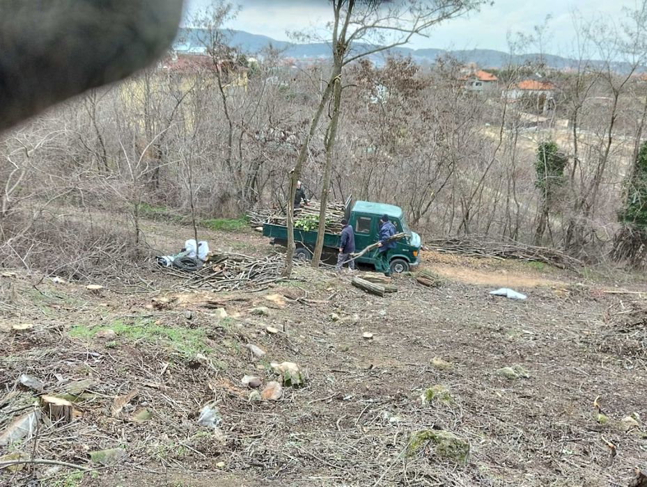 нарязване/нацепване на дърва/подреждане/