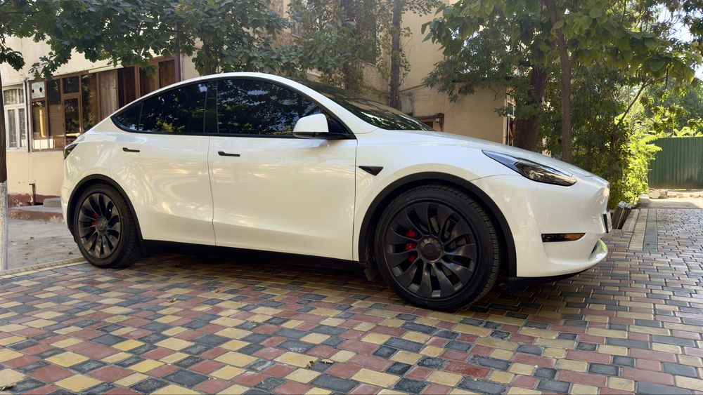 Tesla Model Y Perfomance 2024
