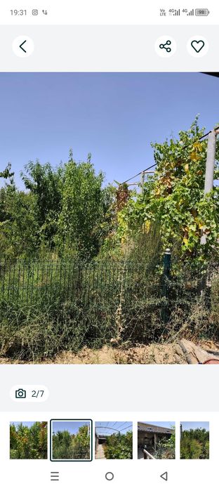 Туйтепа Акмал Икромов дачада 8 сотих ховли сотилади  боги бор 4 хона