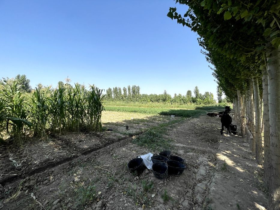 68 сотихли уй сотилади