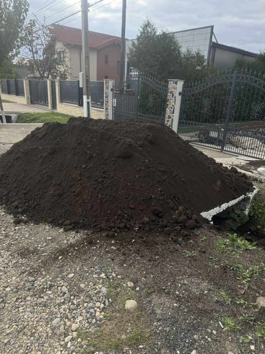 Pământ Negru-Vegetal,Nisip,piatră, sort+Servicii miniexcavator