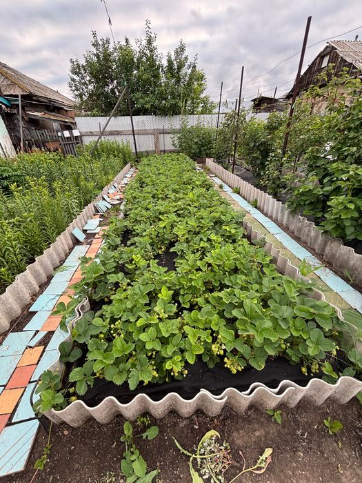 Продам уютный дом в тихом месте