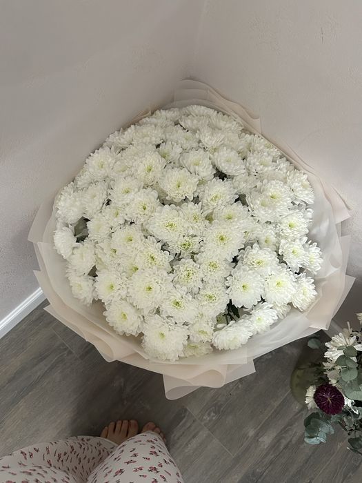 Цветы 101 шт белые хризантемы