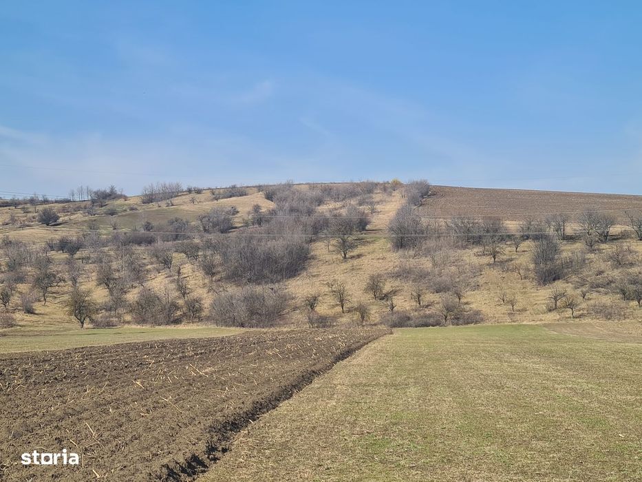 Teren extravilan 4000 mp. , Magiresti-Bacau