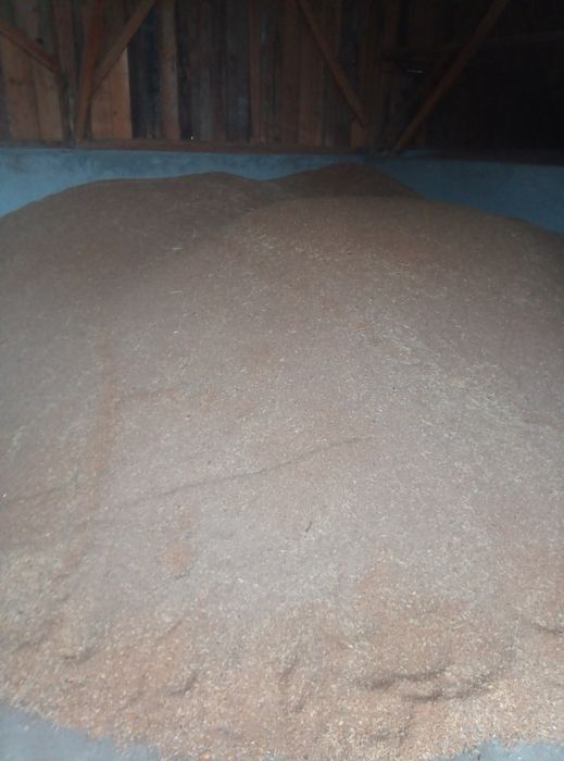 Vând grâu și fân!