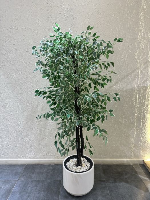 Искусственные растения для интерьера.