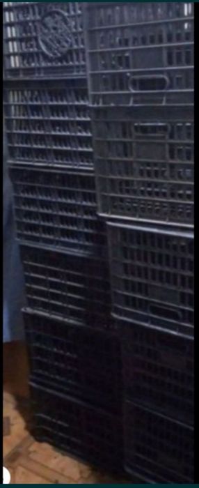 Лекарственные растения