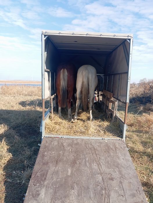 Продам прицеп двухосный