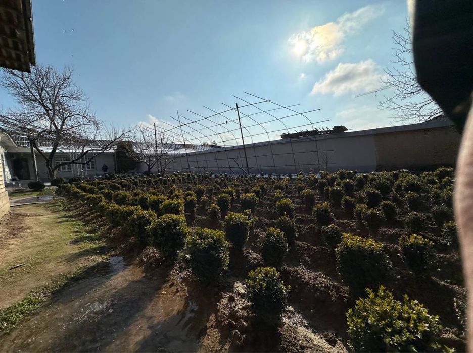 Юнусобод Гвардейский Ок тепа махалла 8,8 сотих ер икки тамонлама куча