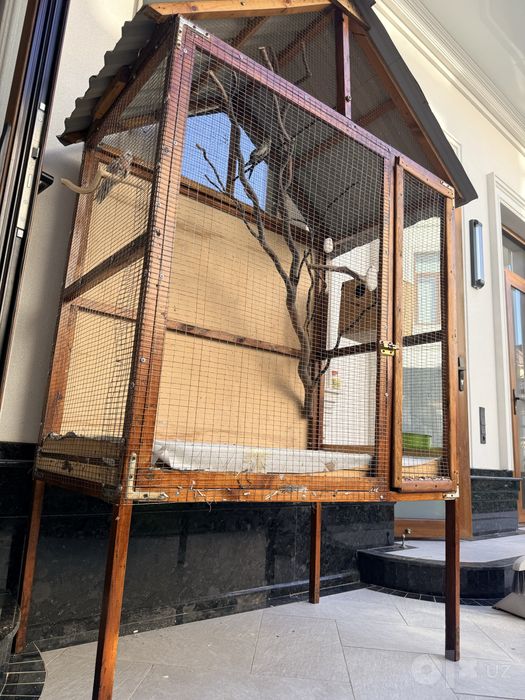 попугай карелла, клетка
