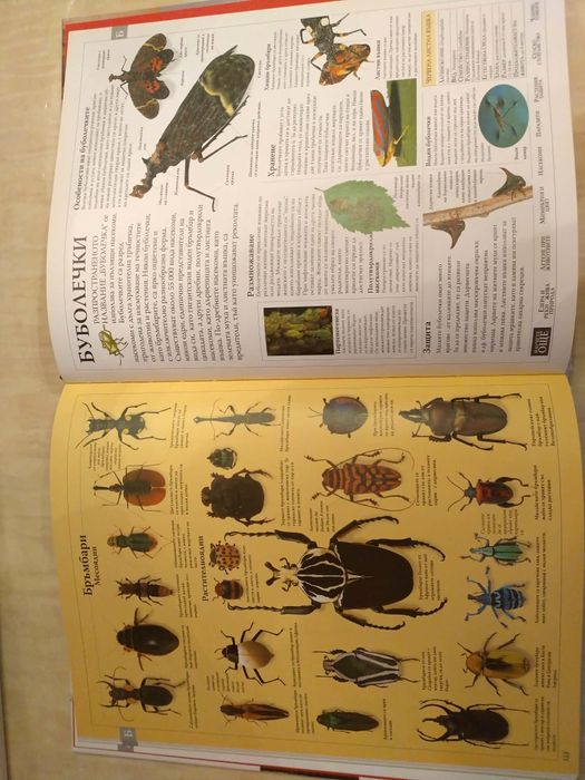 Илюстрова семейна енциклопедия