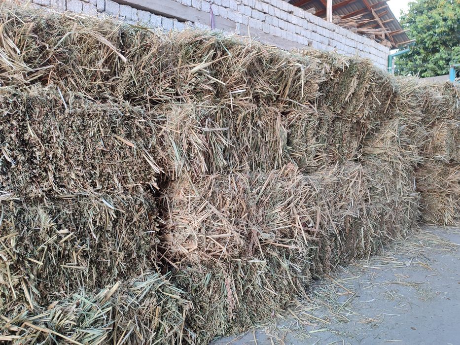 Беда пичан аралаш пресс