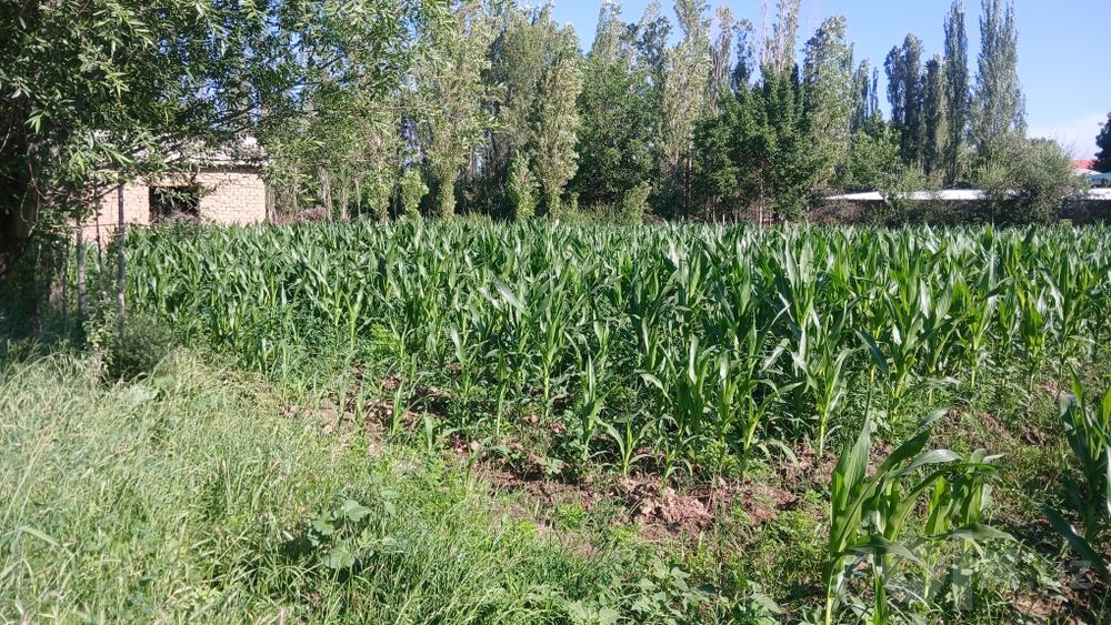 Учаска 14 сотк сотылады срошна